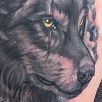 tattoos/ - Wolf and Feathers Coverup